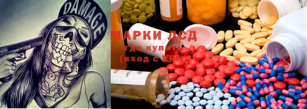 стаф Баксан