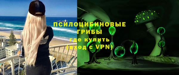 стаф Баксан